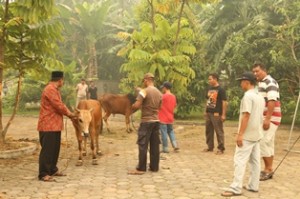 Qurban Idul Adha 1436 BPK Kalimantan Barat a